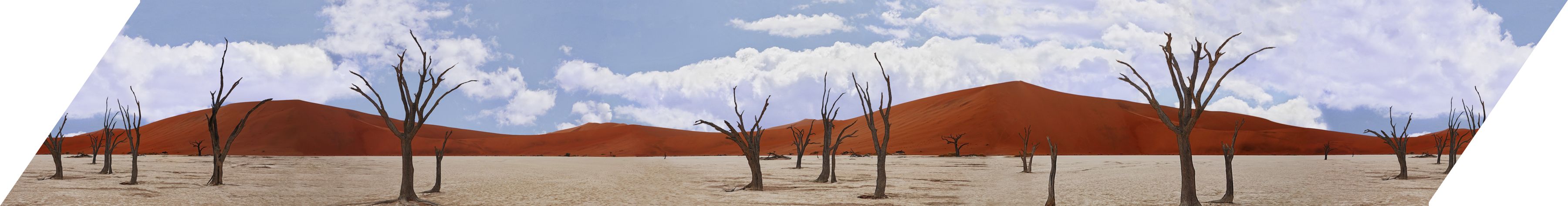Desert scarf print laid flat: bare trees before red dunes under a cloudy sky